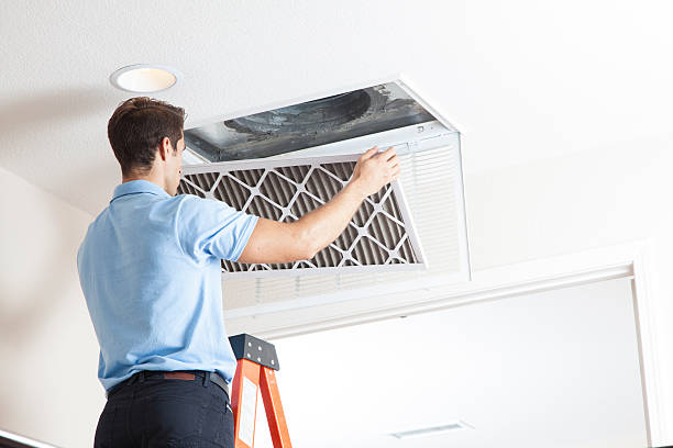 Best HVAC air duct cleaning  in South Daytona, FL
